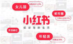 电商创业路上的璀璨之星——记电商创业人物XXX